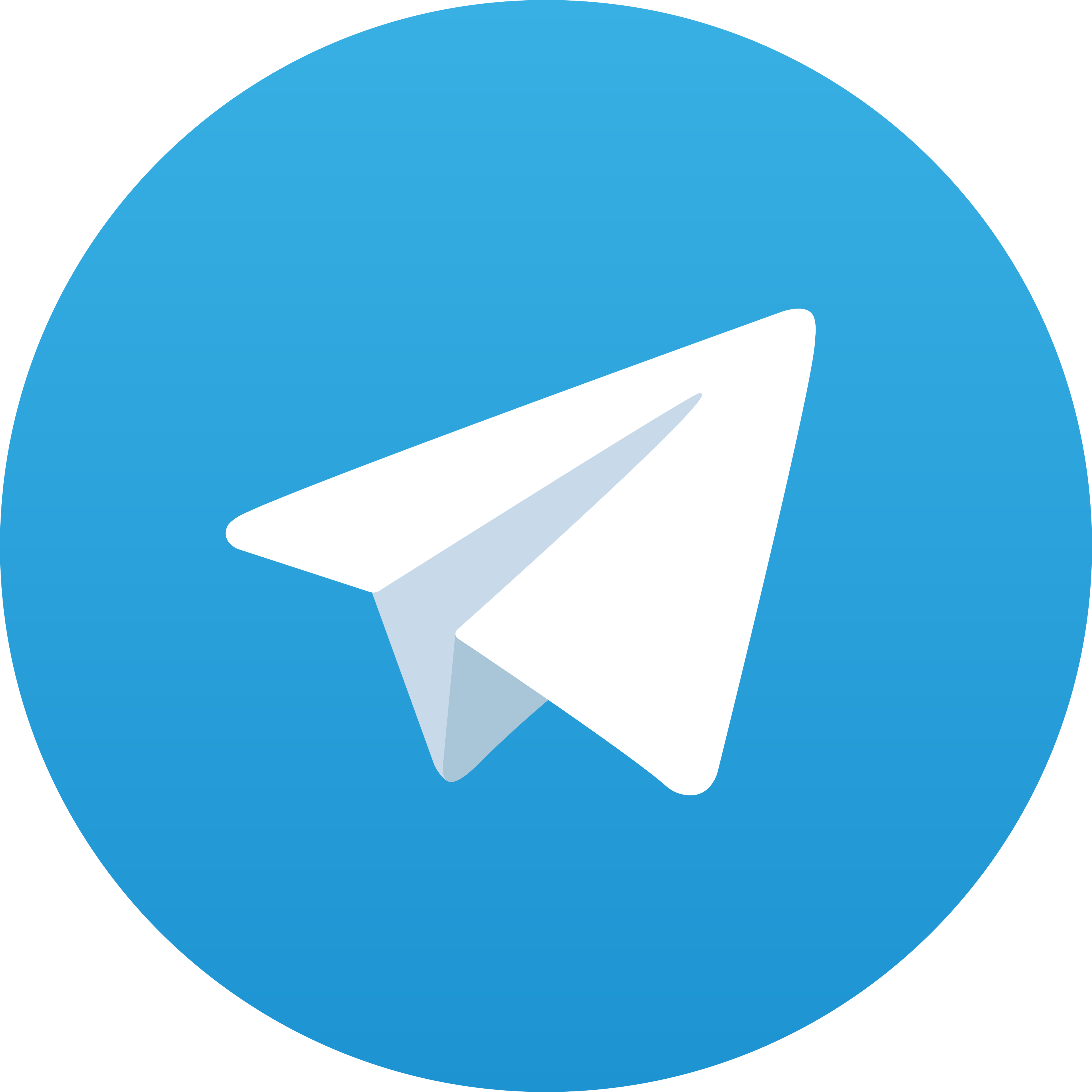 Telegram Realslot